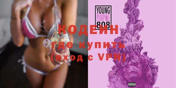 прущие грибы Абинск