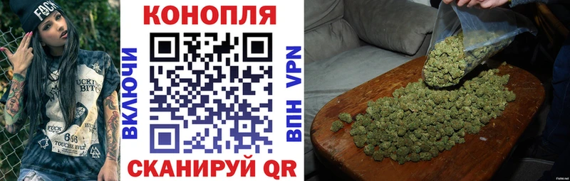 где продают   Гурьевск  Конопля OG Kush 